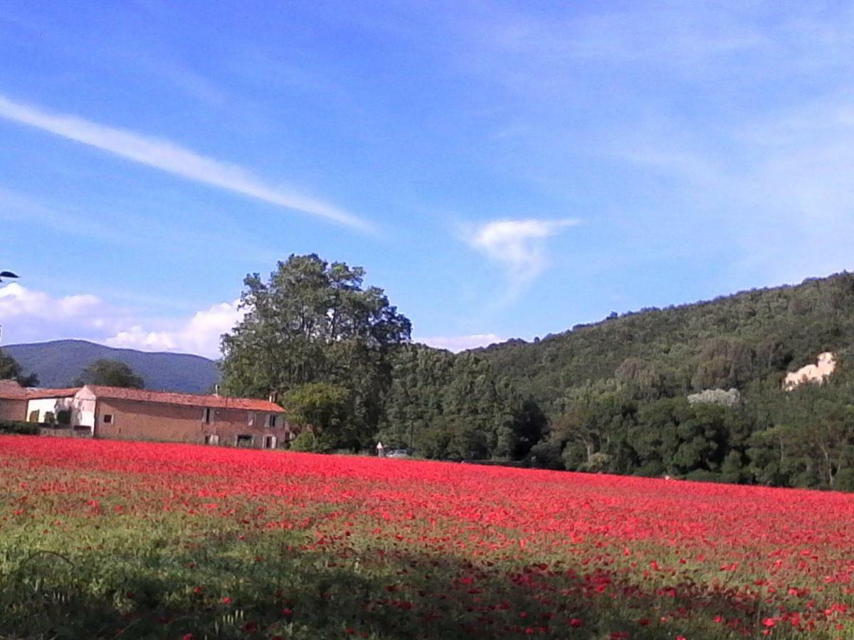 Eden Roque Ξενοδοχείο La Roque-d'Antheron Εξωτερικό φωτογραφία